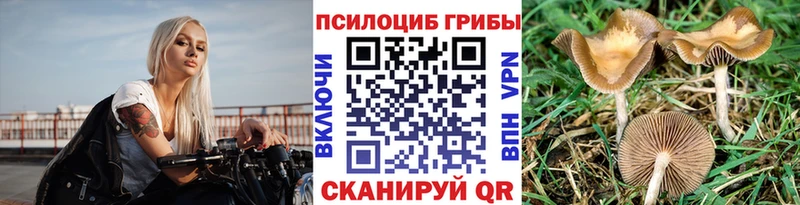 наркотики  Новая Усмань  мега как зайти  Псилоцибиновые грибы MAGIC MUSHROOMS 